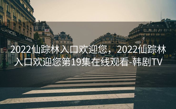 2022仙踪林入口欢迎您，2022仙踪林入口欢迎您第19集在线观看-韩剧TV