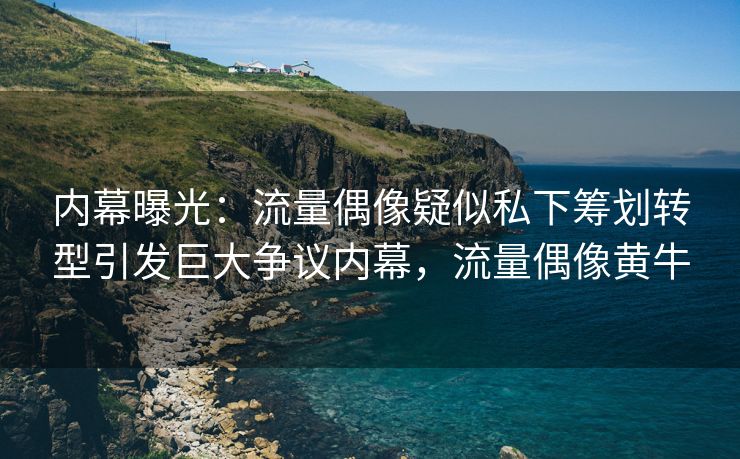内幕曝光:流量偶像疑似私下筹划转型引发巨大争议内幕,流量偶像黄牛 内幕曝光:流量偶像疑似私下筹划转型引发巨大争议内幕,流量偶像黄牛